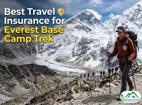 Best Travel Insurance for Everest Trek