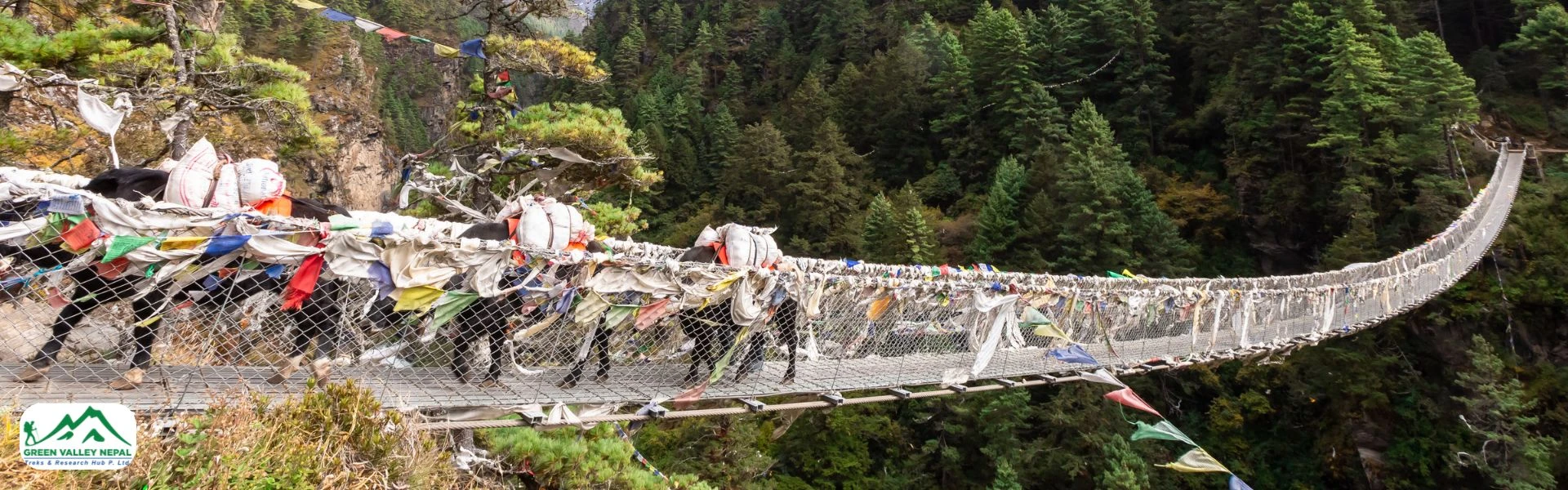Nepal Trekking Routes Reopen
