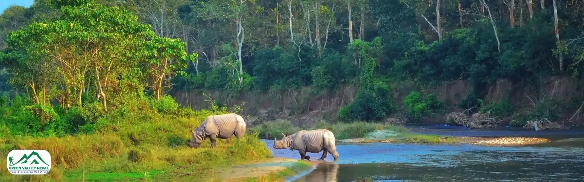 Wildlife Tours in Chitwan National Park