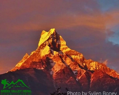 Fishtail view from mardi himal trek min