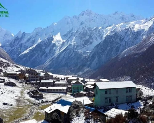 Kyanjin gumpa langtang valley trek