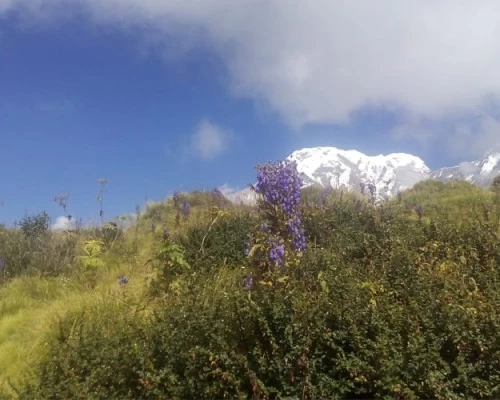 View from badal danda min