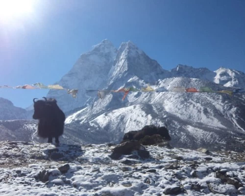 View from kyanjen gumpa