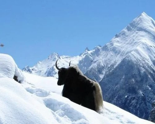 View from tilicho lake trip min