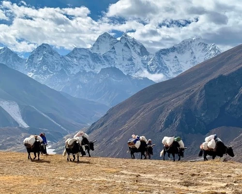 Wayto everest base camp min