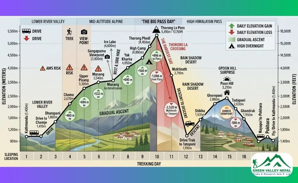 Daily Elevation Gains and Losses