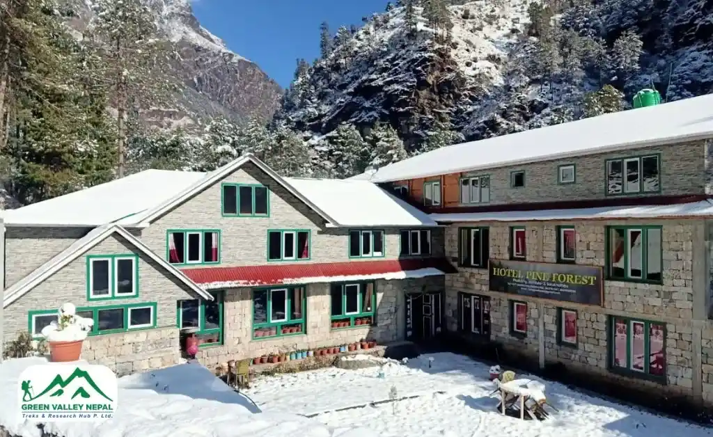 Hotel Pine Forest