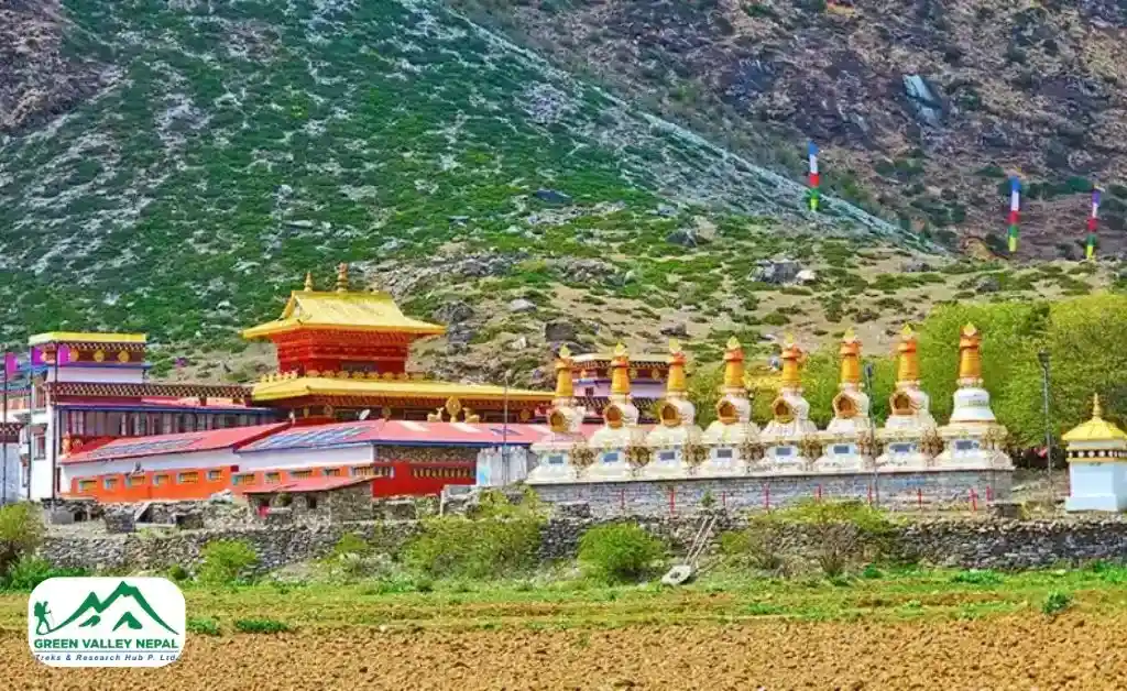 Peaceful Monasteries and Buddhist Heritage