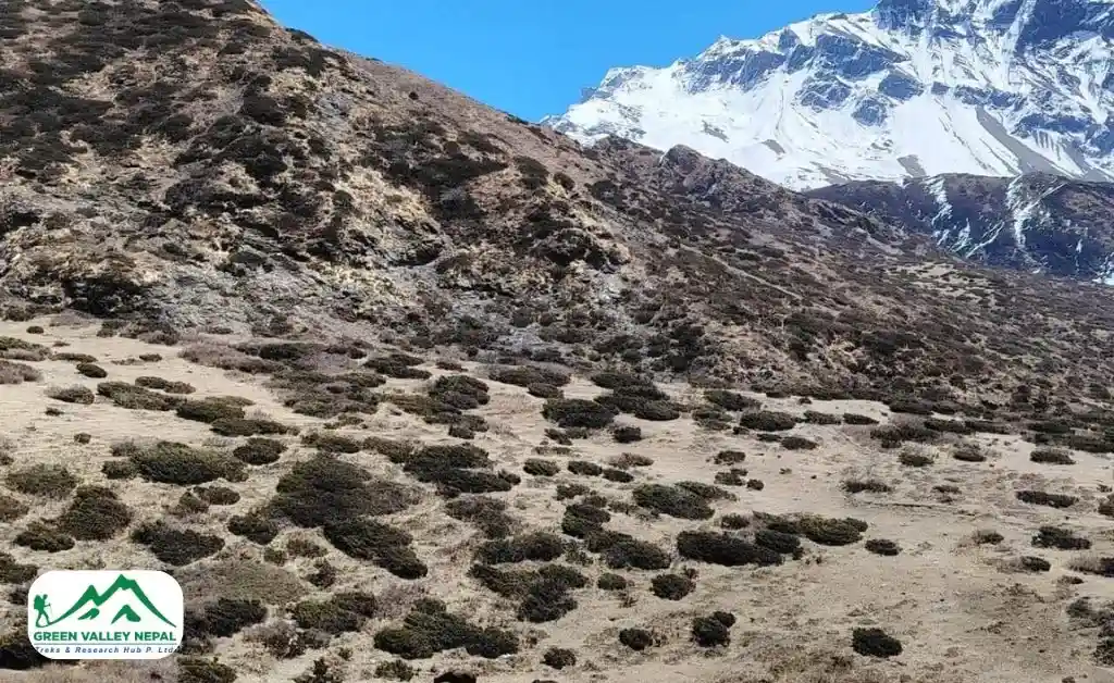 Remote and Less Crowded Trails