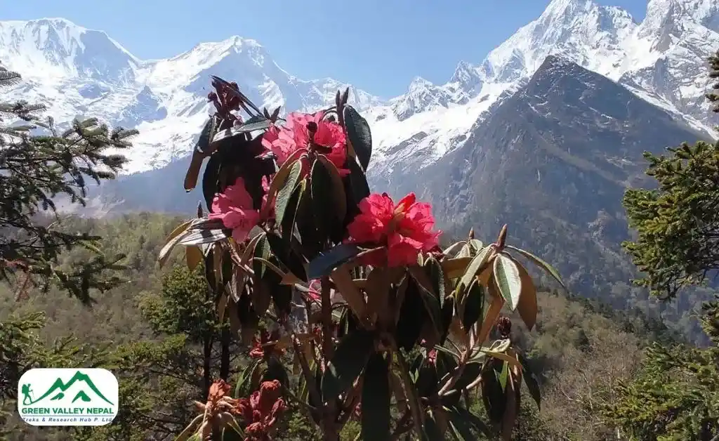 Rich Flora and Fauna