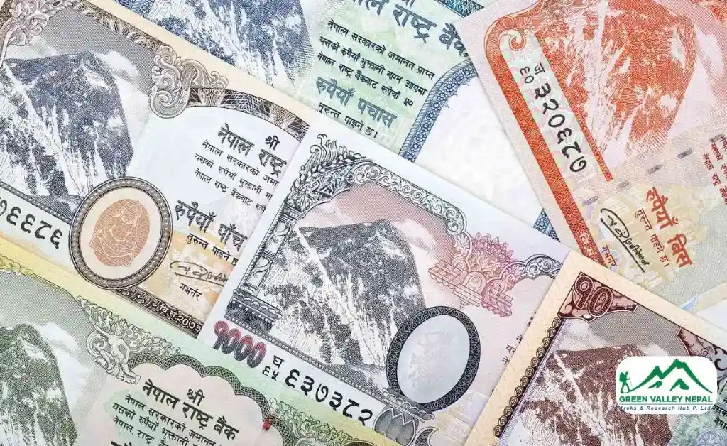 What Currency Should You Use?