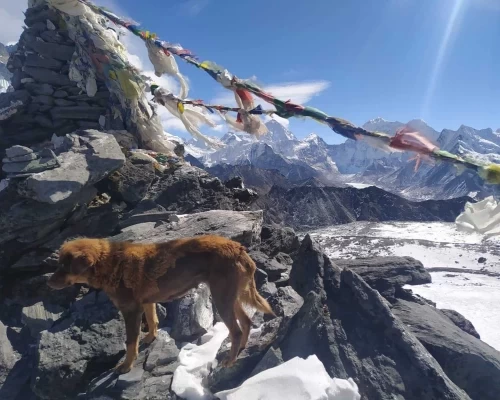  Passes Trek Gokyo Ri