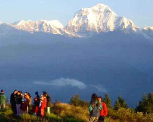 Ghorepani Poon Hill Trek