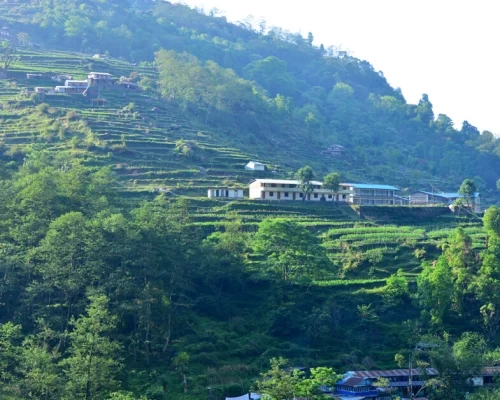 Ghorepani Poon Hill