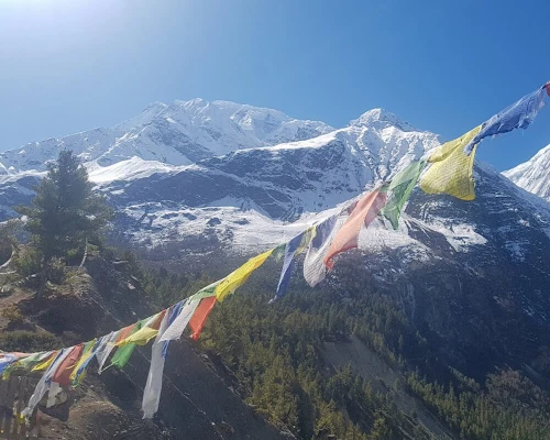 Mount Annapurna
