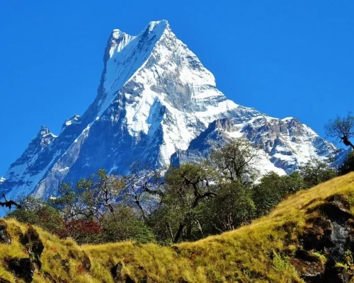 View From Mardi Himal Trek