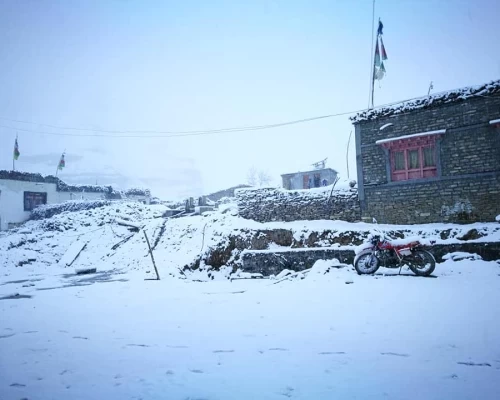 Winter View From Mustang Trek