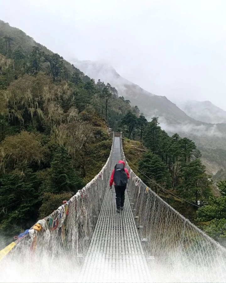 Crossing the Bridge in the Mist
