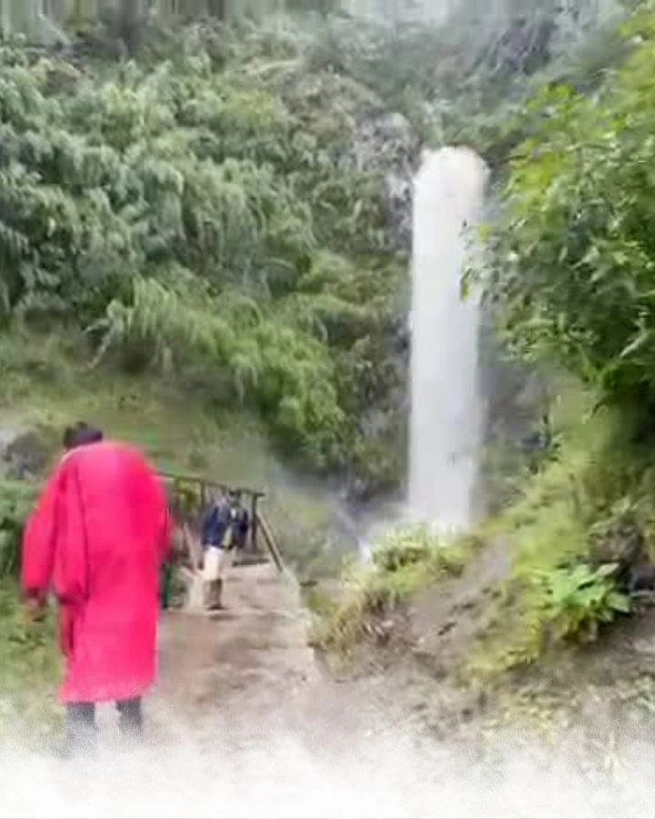 Waterfall on the trail