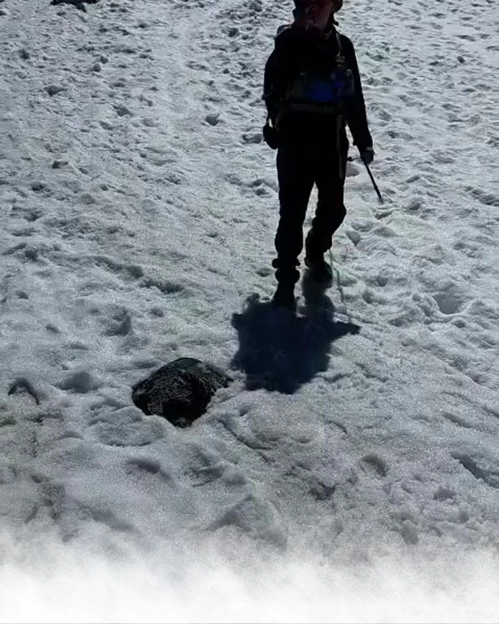 Guide on the snowfield