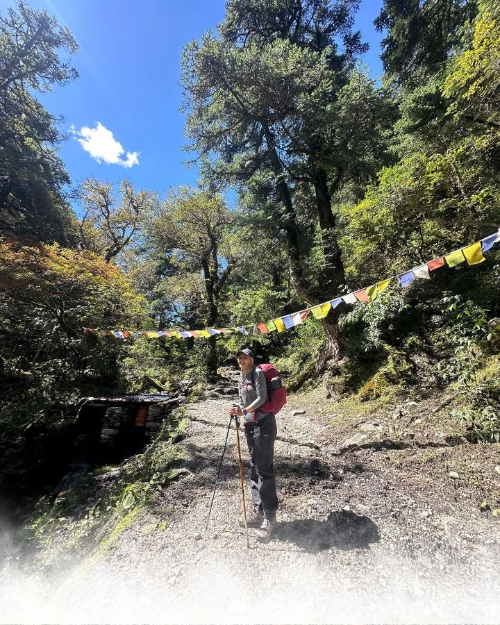 Prayer flags in the forest