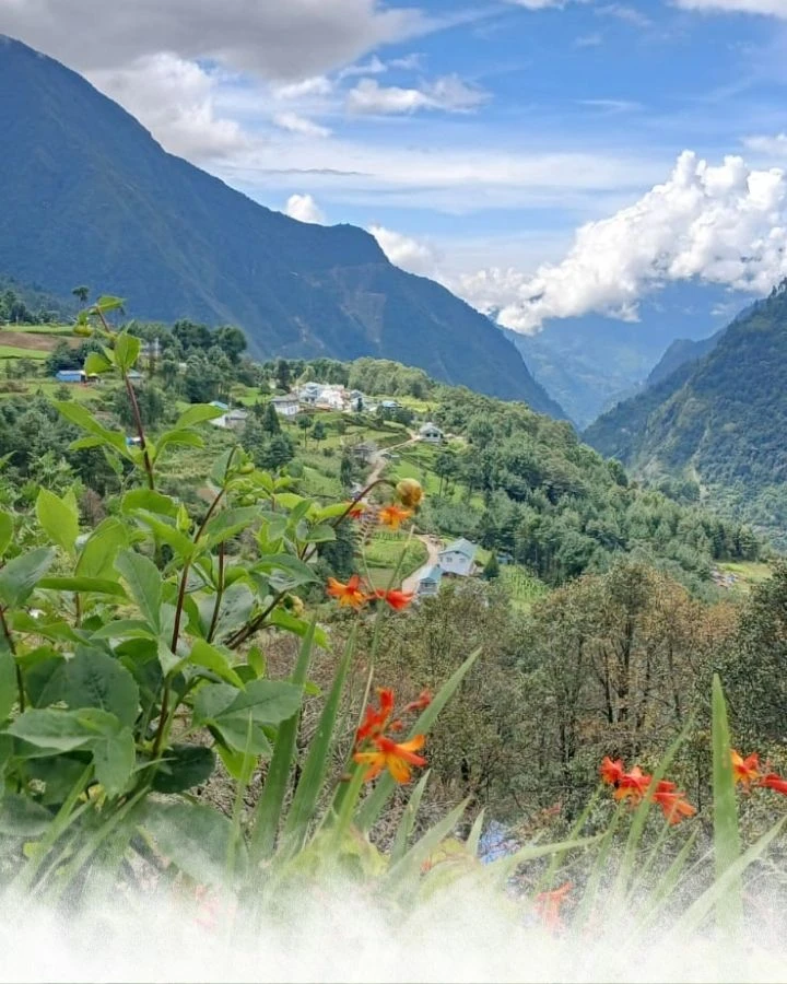 Green Valley Village View
