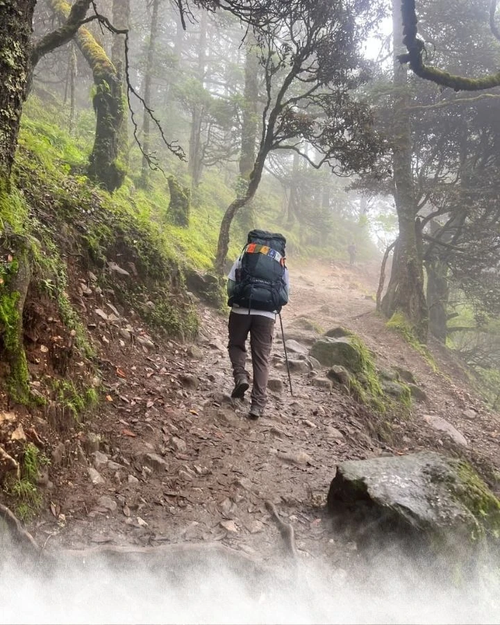 Misty Forest Trail