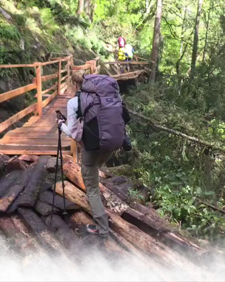 Wooden walkway over logs