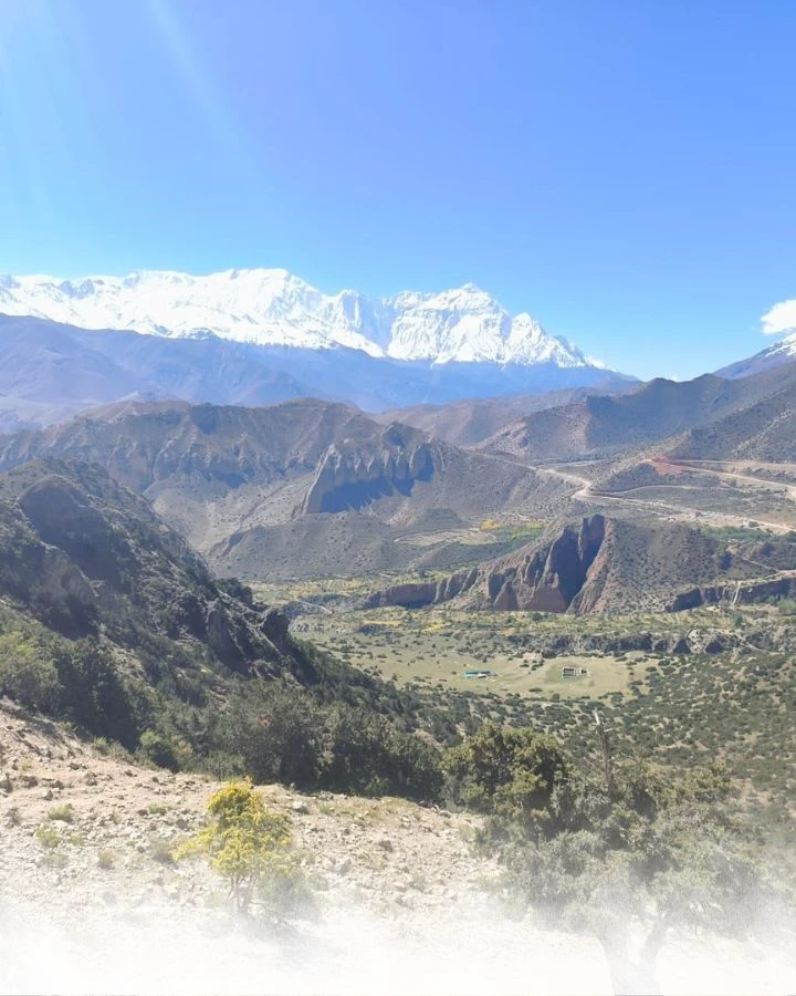 Where Snow Peaks Meet Golden Valleys