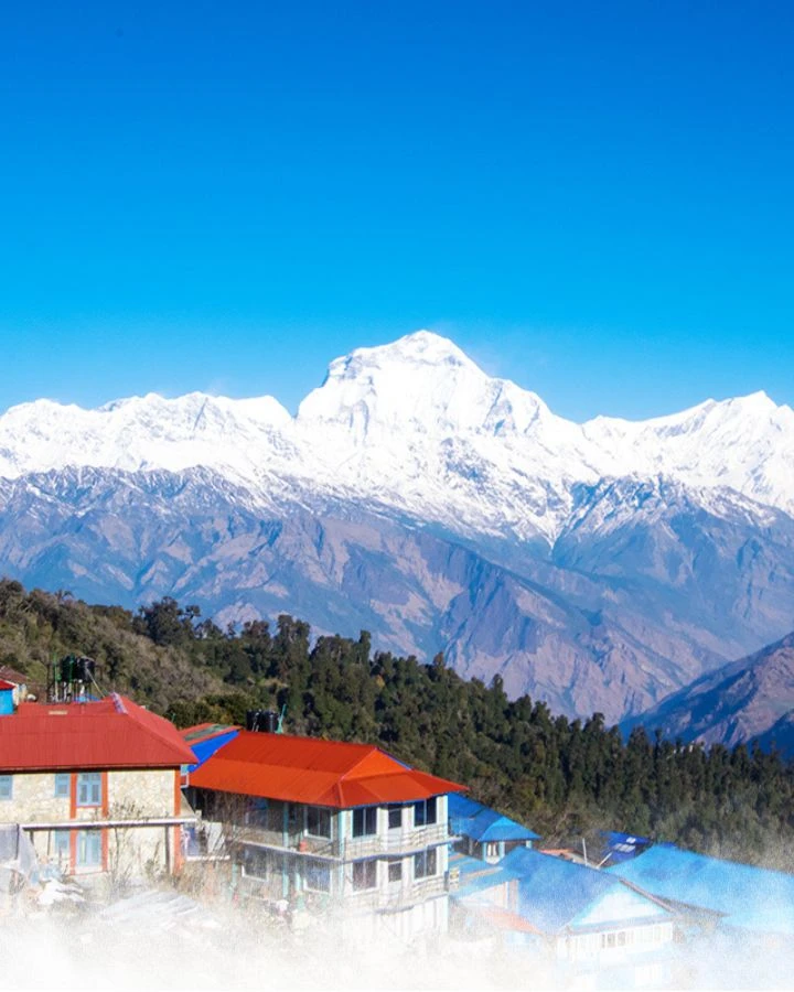 Trek from Ulleri to Ghorepani