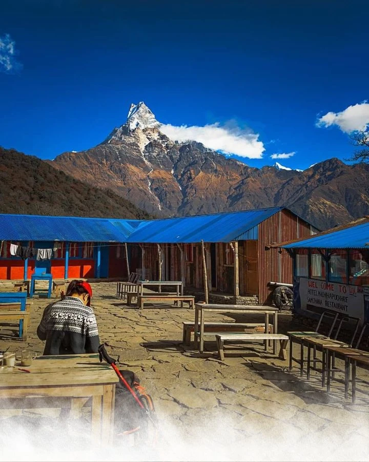 Trek from Pitam Deurali to Low Camp