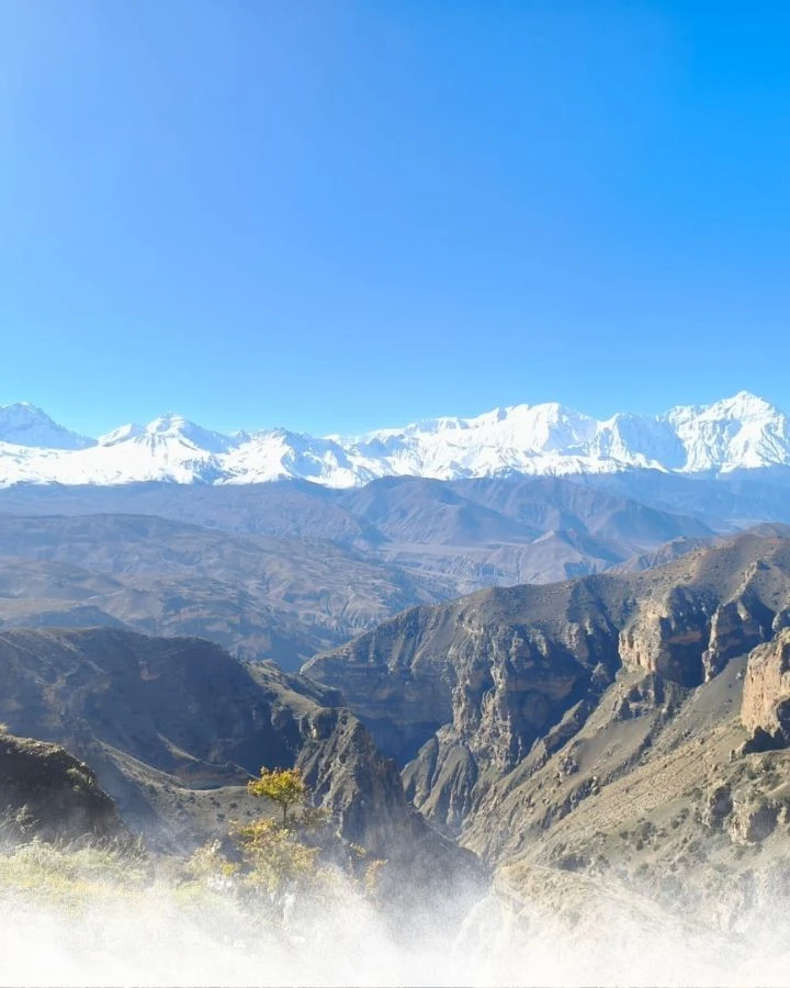 Himalayan Views Without End